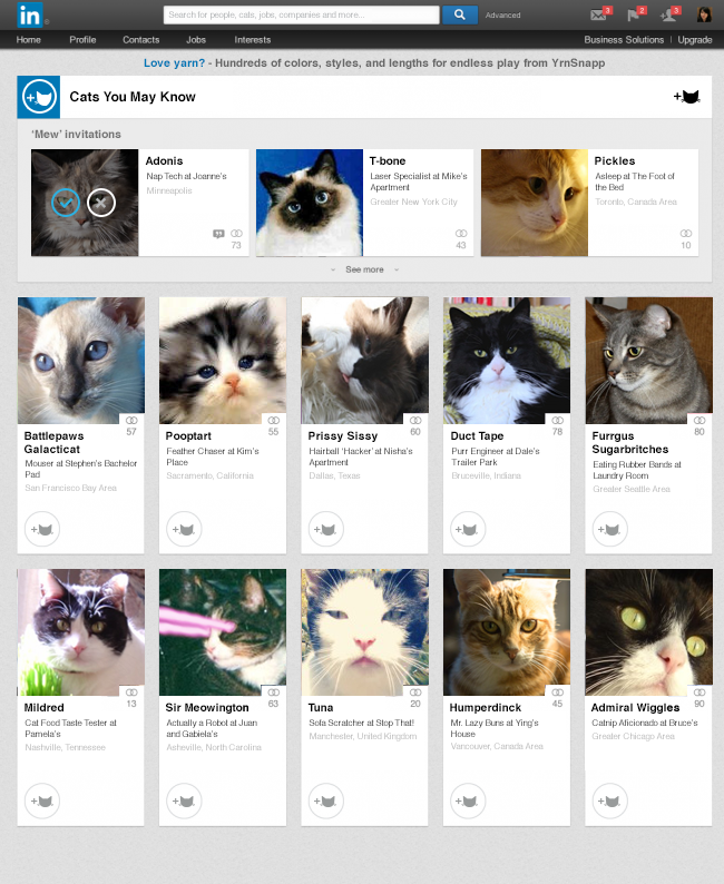 cats you may know 01 - Round-up of April Fool's day pranks by Tech Giants (2014)