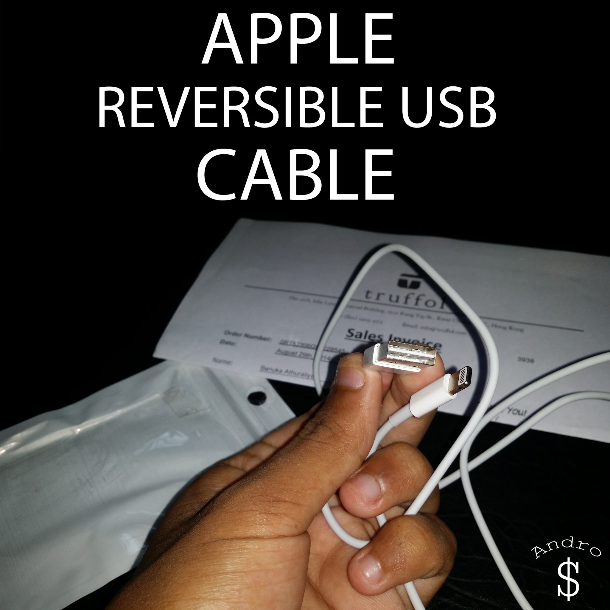 iPhone 6 Reversible USB